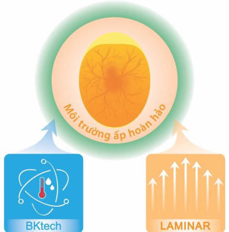 may-ap-trung-bk-laminar-2016