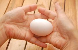 Tầm quan trọng của việc đảo trứng khi ấp trứng bằng máy