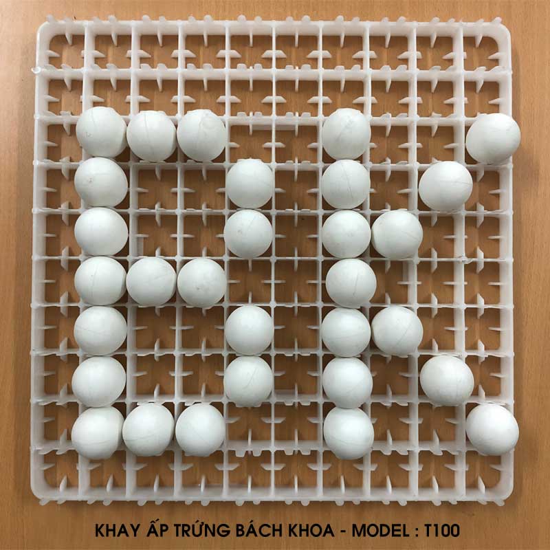 Khay trứng Máy ấp trứng Bách Khoa