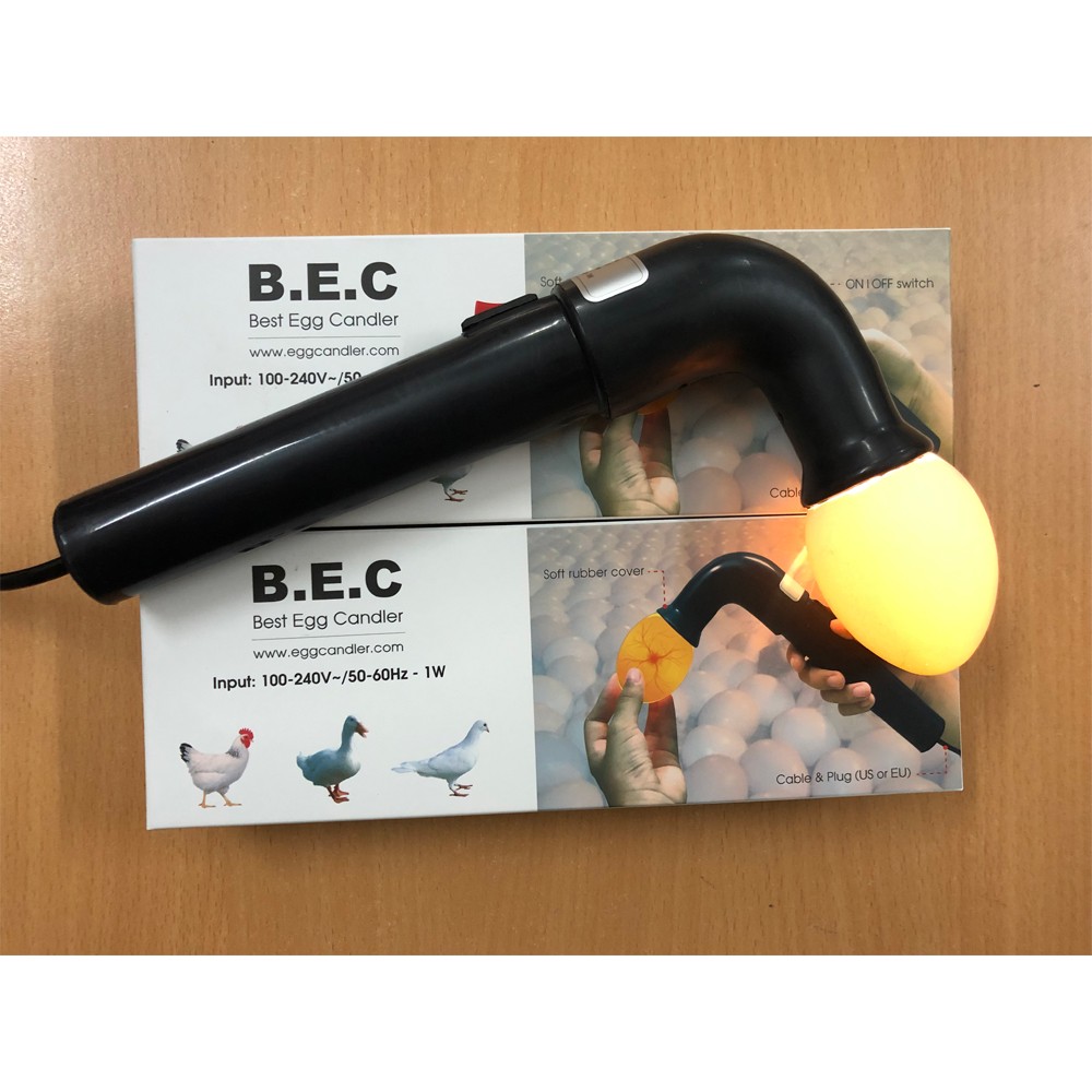 Den soi trung ga vit taiwan 1 1